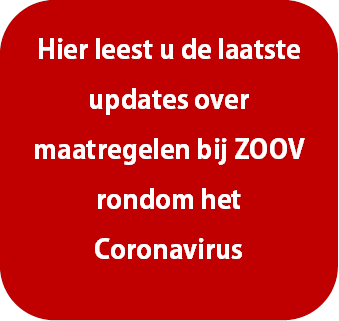 Coronavirus - update 15 december 2021